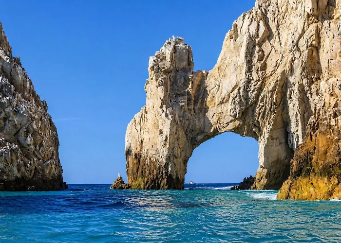 Cabo Ocean View - 4br - 50ft Pool - Hot Tub - Gym *